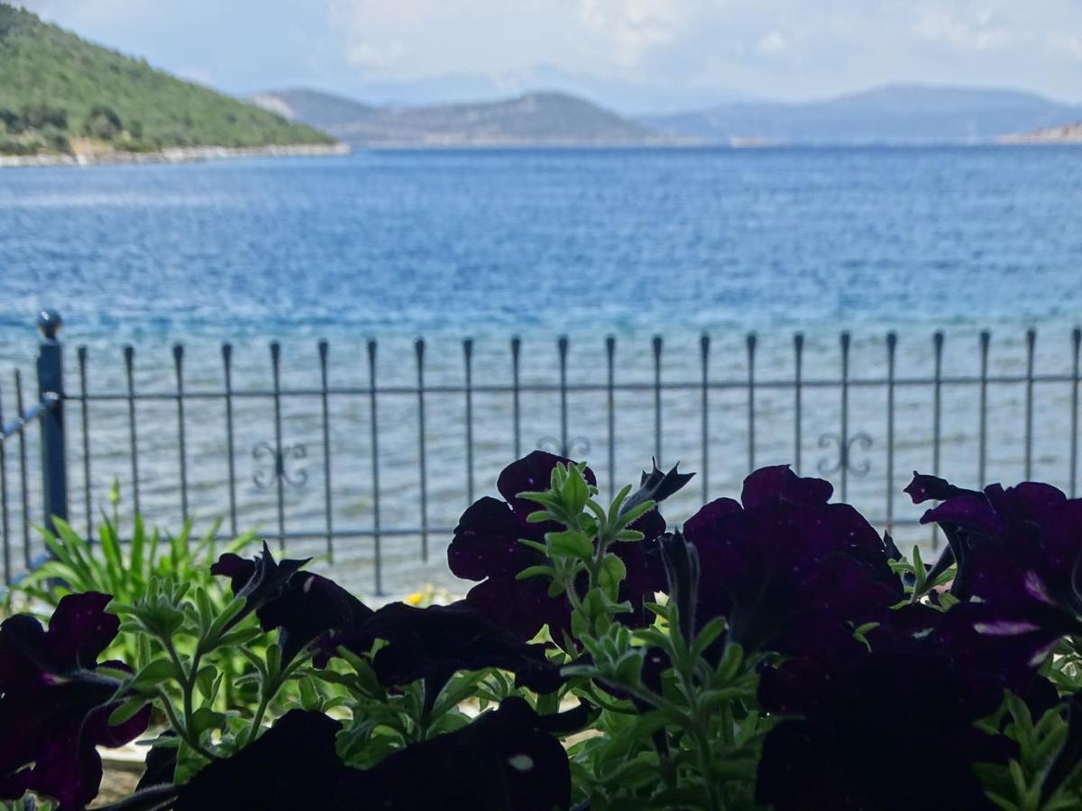 Blue Dreams Guest House Almiropotamos Bagian luar foto