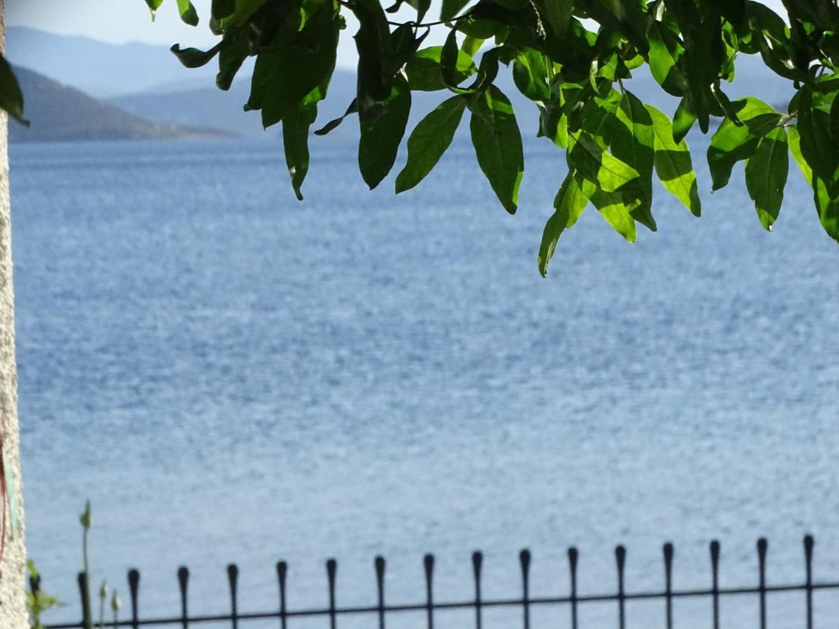 Blue Dreams Guest House Almiropotamos Bagian luar foto