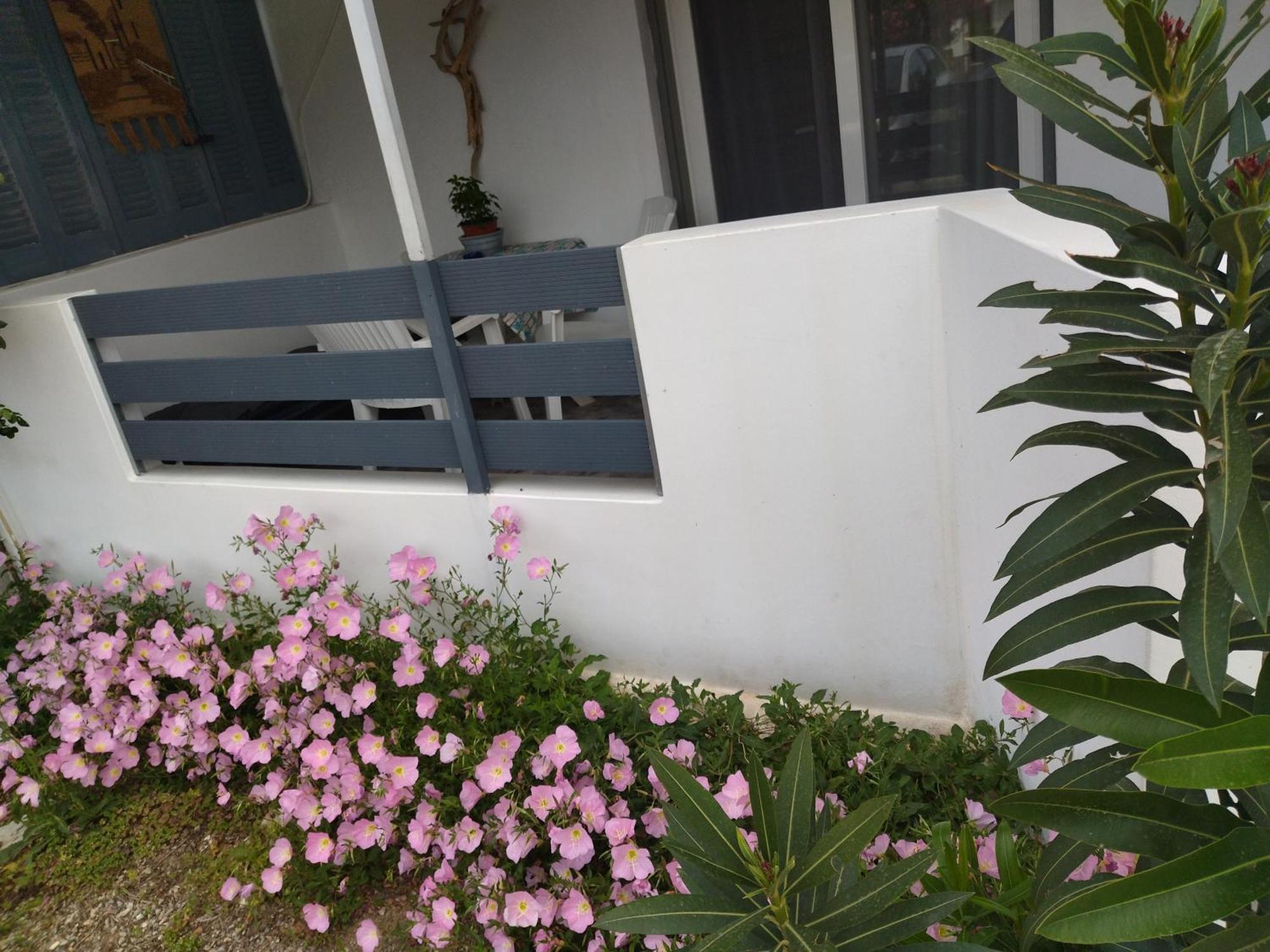 Blue Dreams Guest House Almiropotamos Ruang foto