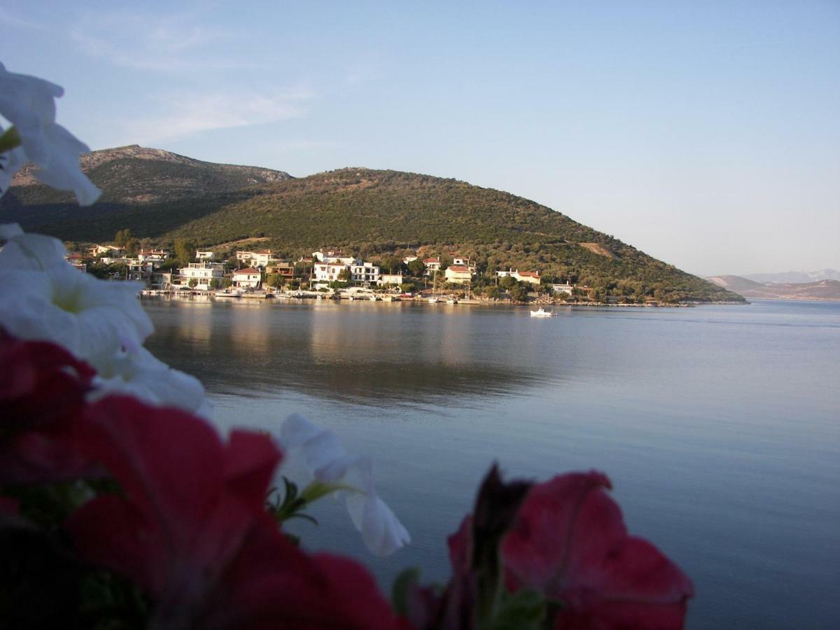 Blue Dreams Guest House Almiropotamos Bagian luar foto