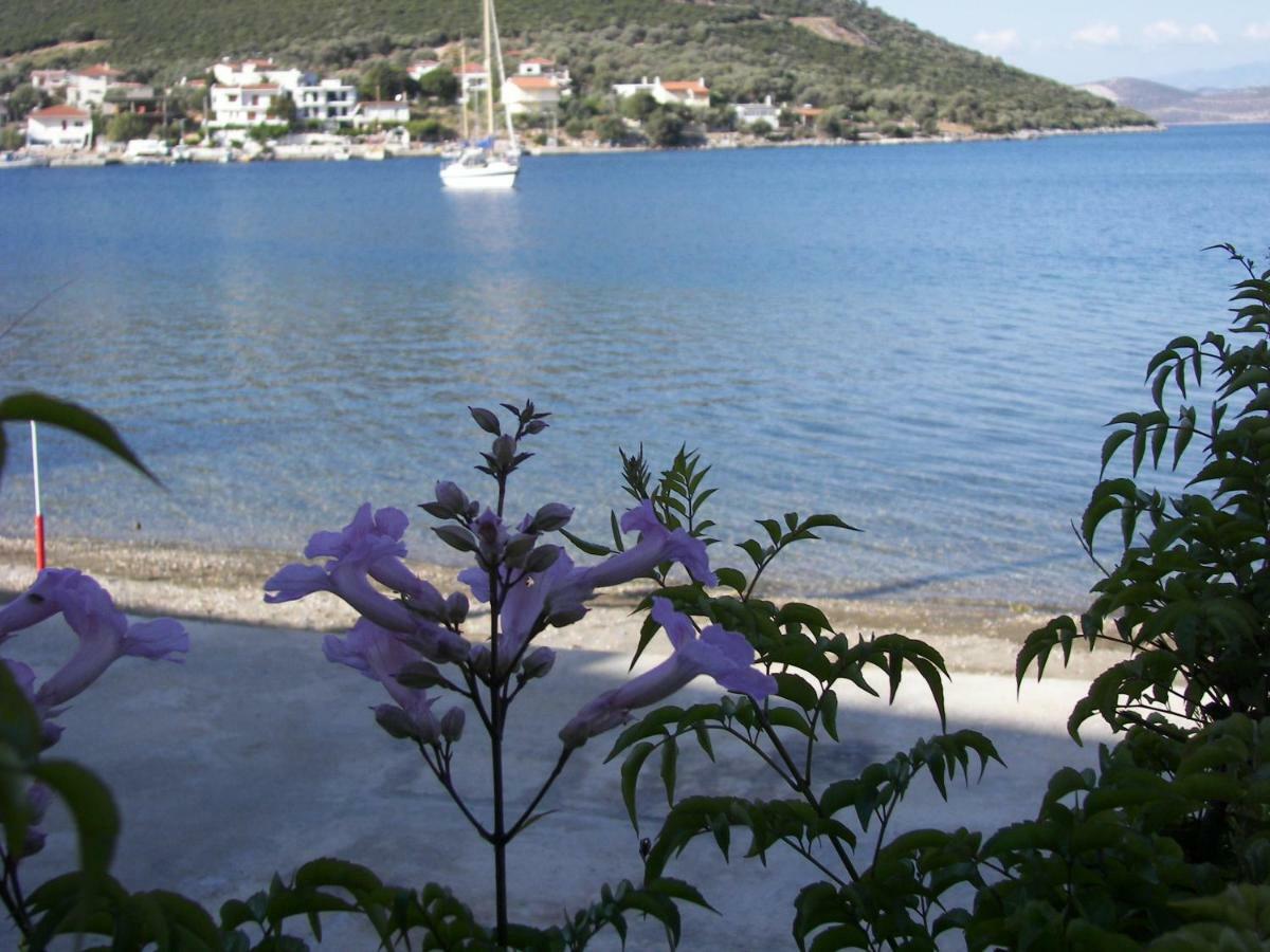 Blue Dreams Guest House Almiropotamos Bagian luar foto