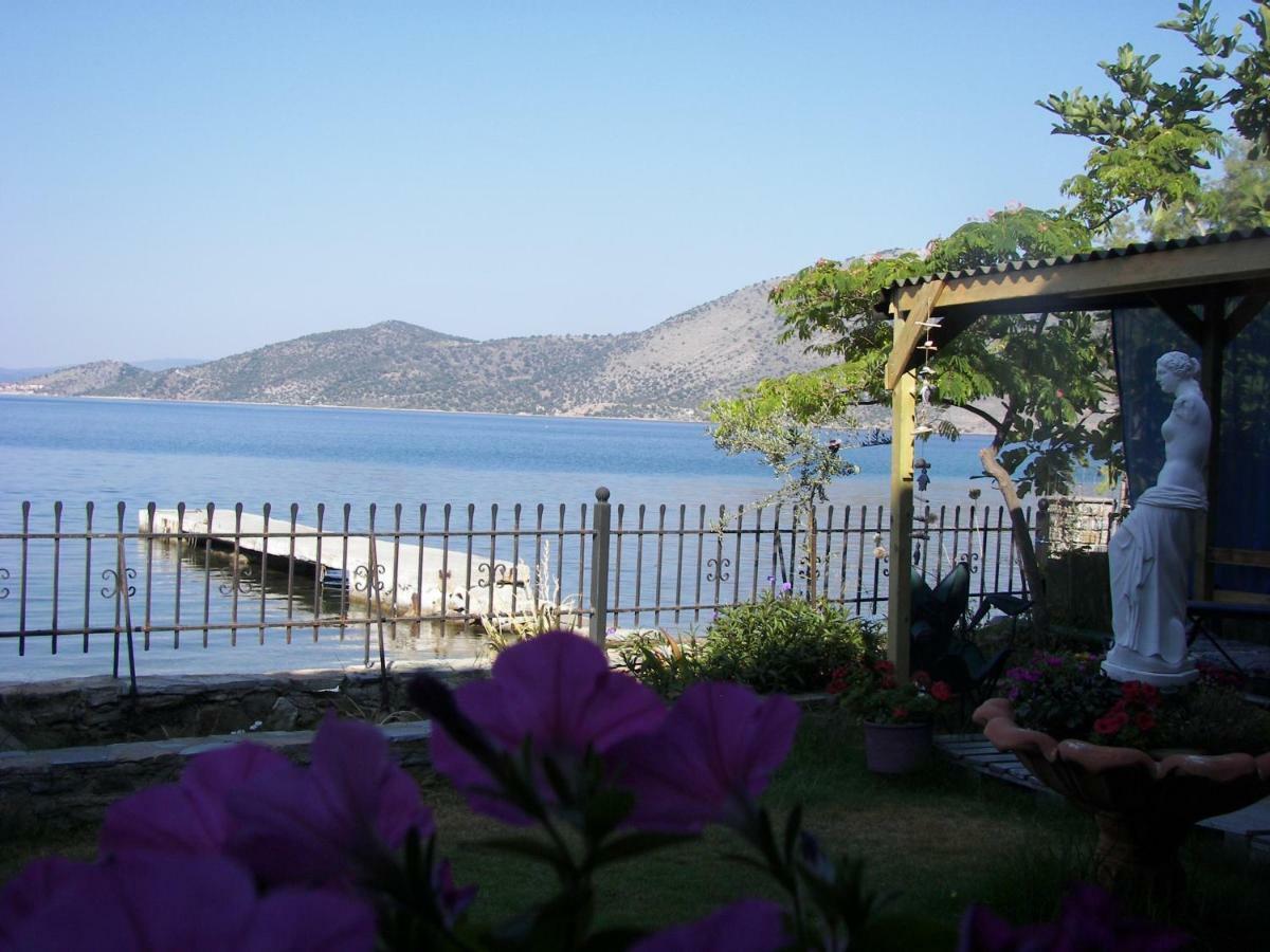 Blue Dreams Guest House Almiropotamos Bagian luar foto
