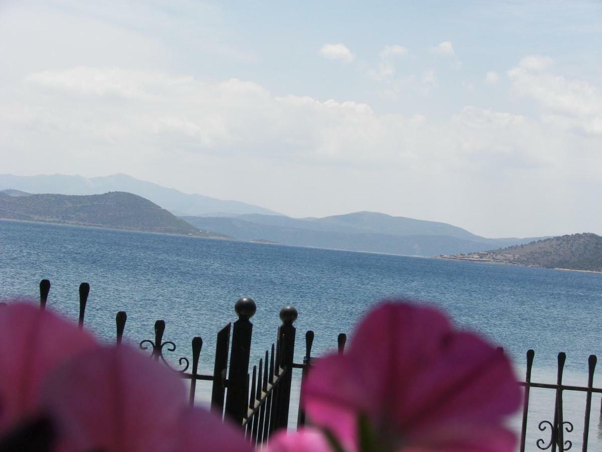 Blue Dreams Guest House Almiropotamos Bagian luar foto