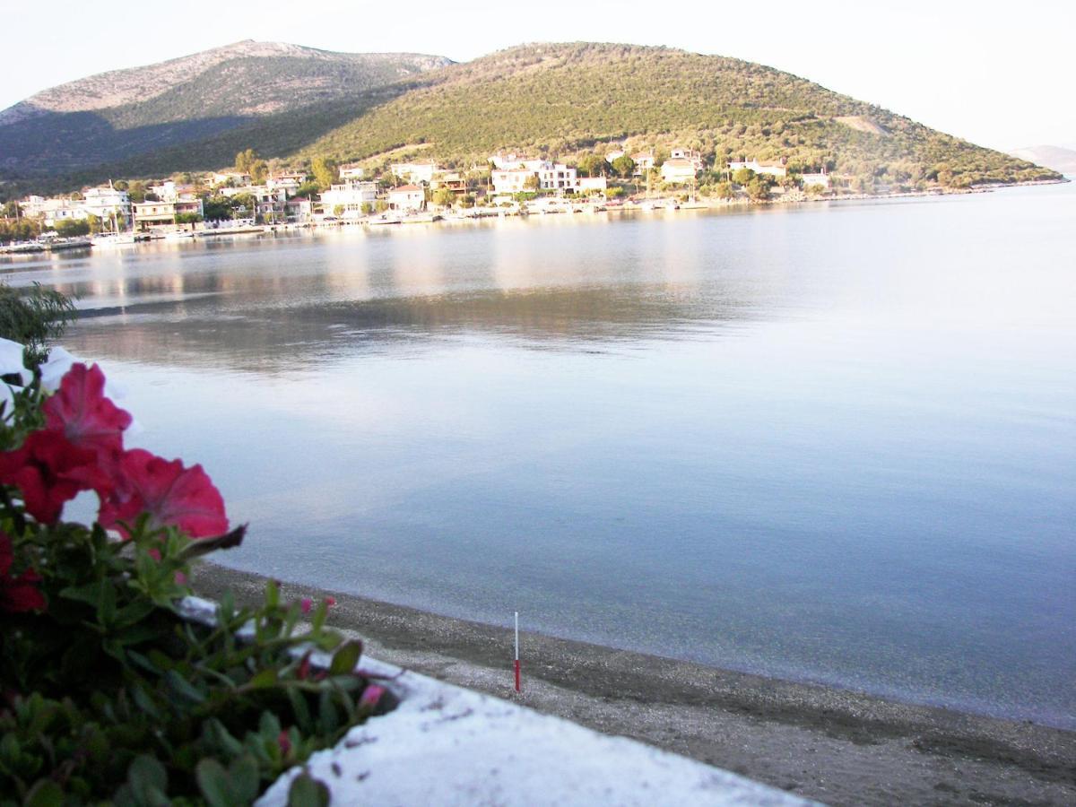 Blue Dreams Guest House Almiropotamos Bagian luar foto